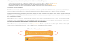 e-faturaya nasıl geçilir gib